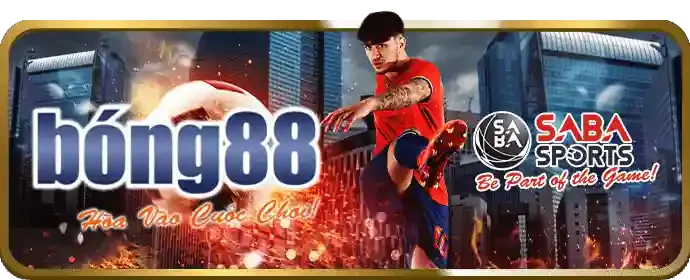 Cá cược các môn thể thao khác tại okkinh chính thức